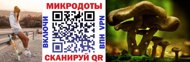 продажа наркотиков  omg сайт  Псилоцибиновые грибы Psilocybine cubensis  Духовщина 
